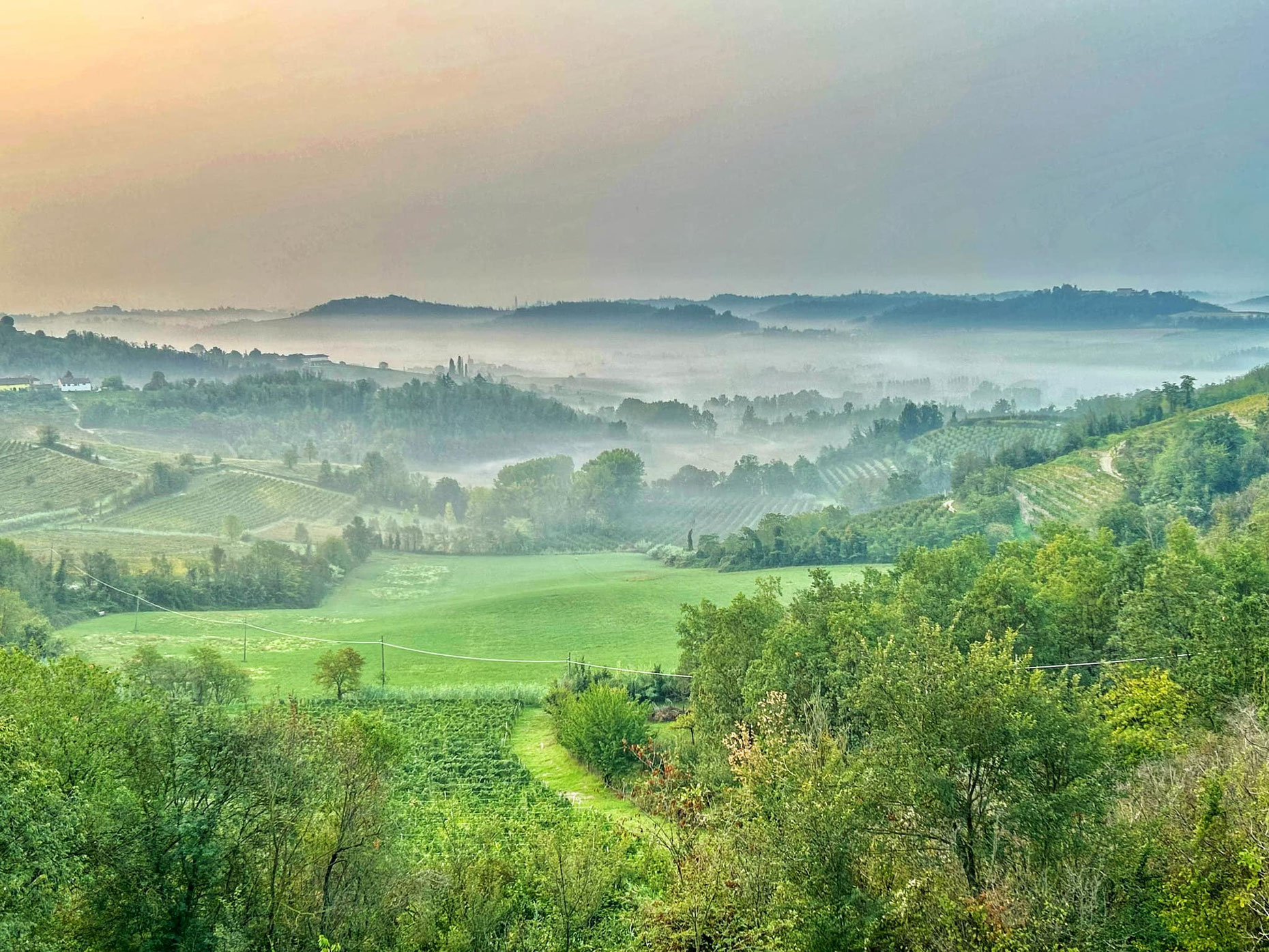 Germinale Monferrato Art Fest & walk
