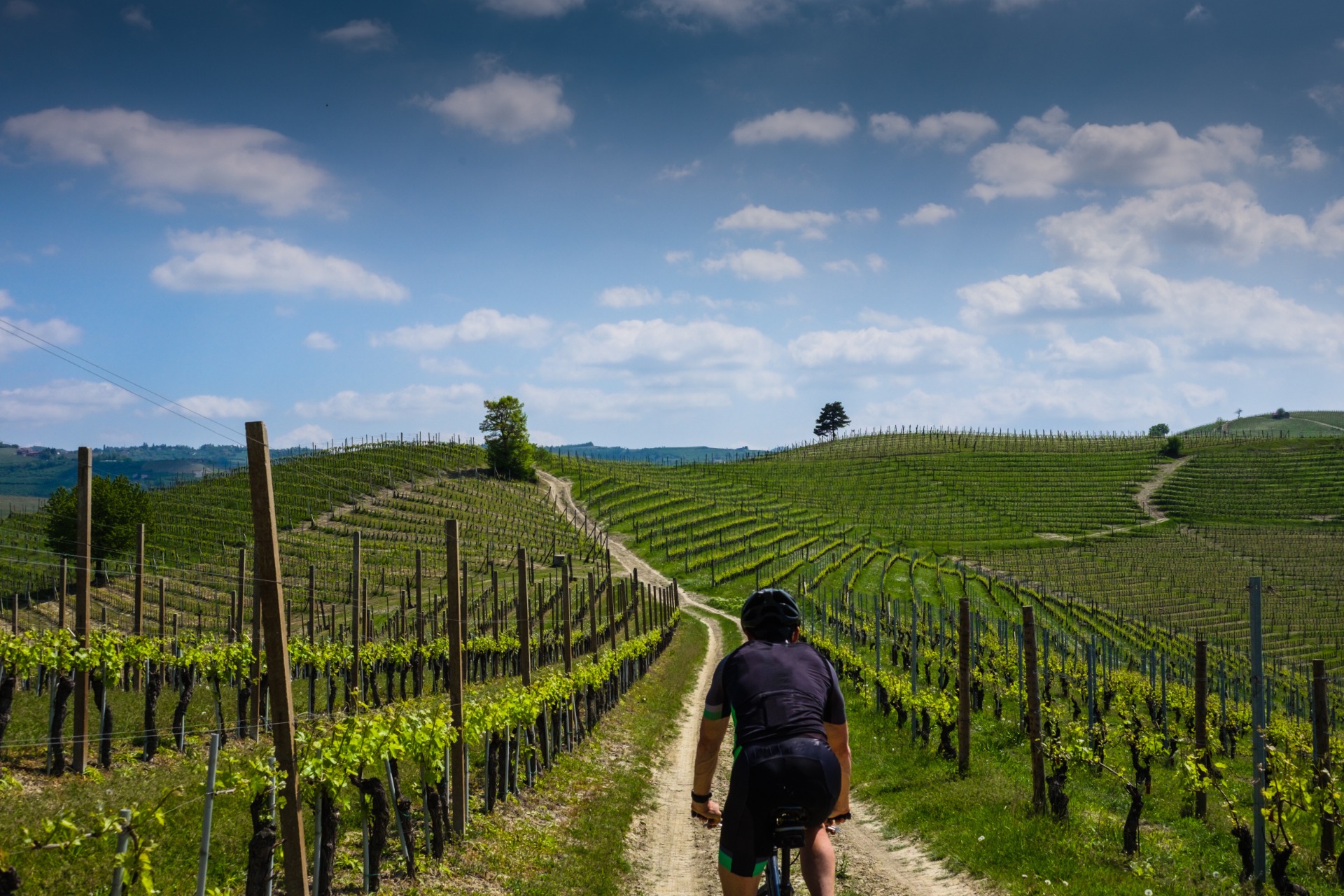 Cycling through the vineyards & villages