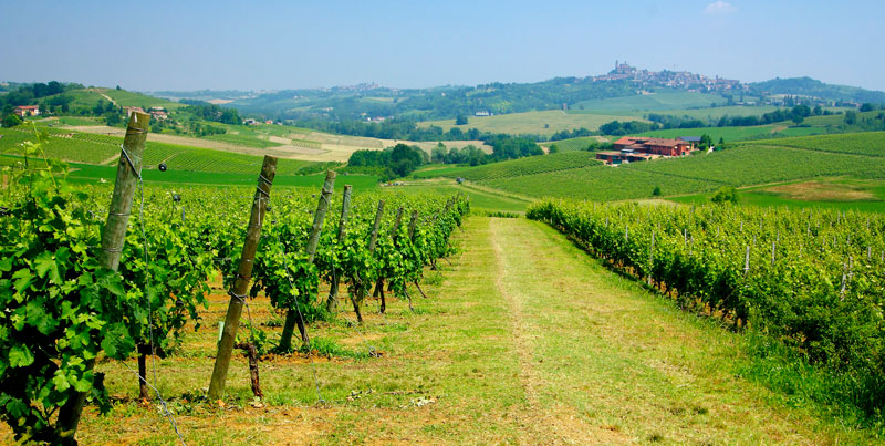 Accornero Giulio e Figli